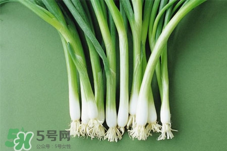 2017過年大蔥會(huì)漲價(jià)嗎？2017年春節(jié)大蔥價(jià)格預(yù)測(cè)