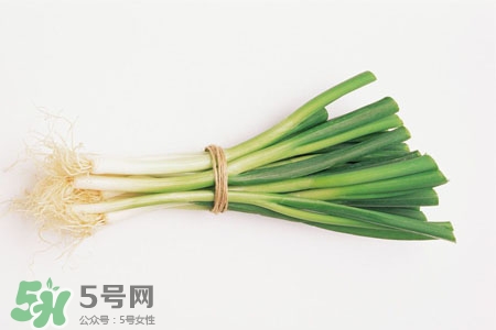 2017過年大蔥會(huì)漲價(jià)嗎？2017年春節(jié)大蔥價(jià)格預(yù)測(cè)