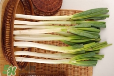 2017過年大蔥會(huì)漲價(jià)嗎？2017年春節(jié)大蔥價(jià)格預(yù)測(cè)