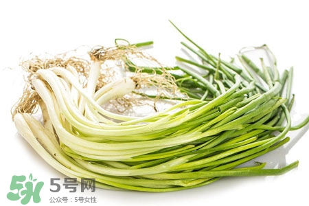 2017過年小蔥會漲價(jià)嗎？2017年春節(jié)小蔥價(jià)格預(yù)測