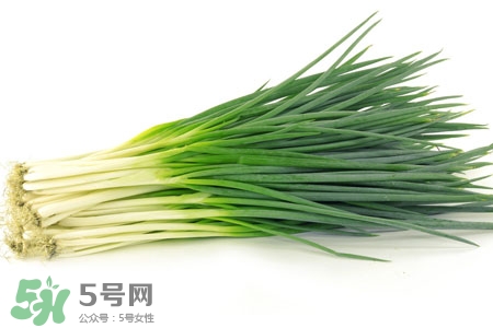 2017過年小蔥會漲價(jià)嗎？2017年春節(jié)小蔥價(jià)格預(yù)測