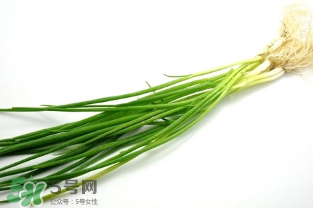 2017過年小蔥會漲價(jià)嗎？2017年春節(jié)小蔥價(jià)格預(yù)測