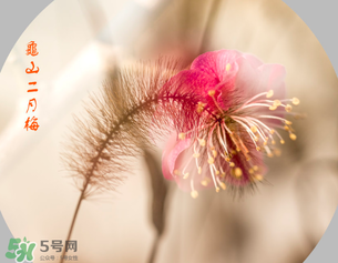 七九是哪一天？2017年七九是哪天？