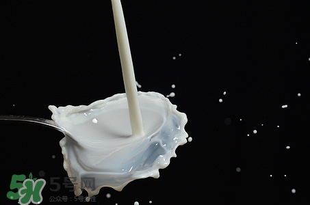 豆?jié){和牛奶哪個(gè)更有營養(yǎng)?豆?jié){和牛奶哪個(gè)好 豆?jié){和牛奶哪個(gè)更有營養(yǎng)?豆?jié){和牛奶哪個(gè)好