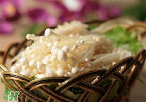 金針菇不能和什么一起吃？金針菇的食用禁忌