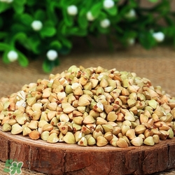 胃不好可以吃蕎麥嗎?胃不好吃蕎麥會(huì)怎么樣 胃不好可以吃蕎麥嗎?胃不好吃蕎麥會(huì)怎么樣