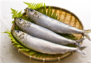 沙丁魚(yú)的營(yíng)養(yǎng)價(jià)值 沙丁魚(yú)的功效與作用