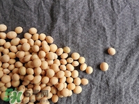 對(duì)心臟有益的食物有哪些？對(duì)心臟有好處的食物大全