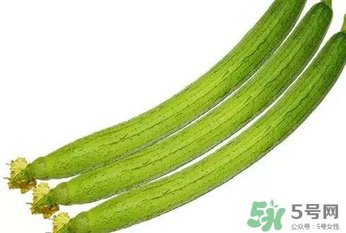 絲瓜可以入藥嗎?絲瓜有哪些藥用價(jià)值 絲瓜可以入藥嗎?絲瓜有哪些藥用價(jià)值