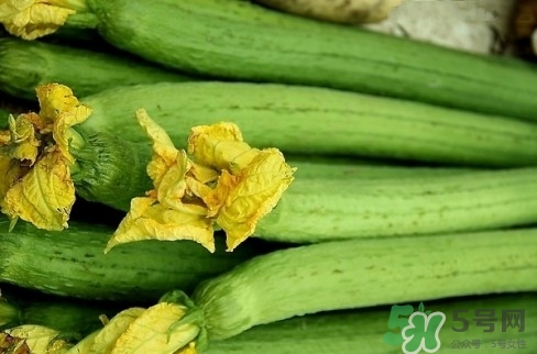 絲瓜可以入藥嗎?絲瓜有哪些藥用價(jià)值 絲瓜可以入藥嗎?絲瓜有哪些藥用價(jià)值