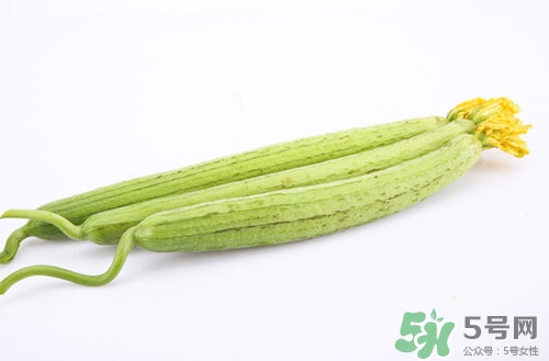 絲瓜可以入藥嗎?絲瓜有哪些藥用價(jià)值 絲瓜可以入藥嗎?絲瓜有哪些藥用價(jià)值