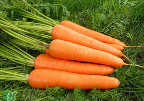 胡蘿卜心變白能吃嗎？胡蘿卜心發(fā)白可以吃嗎？