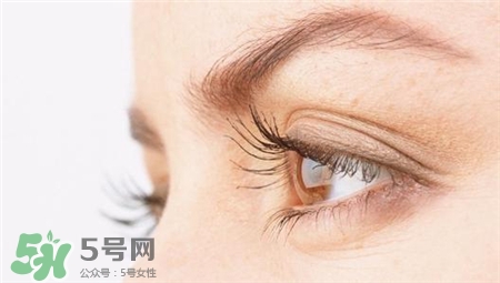 眼角長脂肪粒是什么原因?眼角長脂肪粒怎么辦? 眼角長脂肪粒是什么原因?眼角長脂肪粒怎么辦?