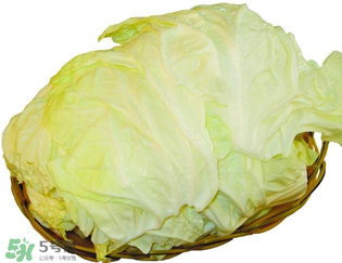 白菜發(fā)苦能吃嗎？大白菜發(fā)苦是什么原因？