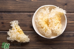 銀耳是白的好還是黃的好?白銀耳和黃銀耳區(qū)別 銀耳是白的好還是黃的好?白銀耳和黃銀耳區(qū)別