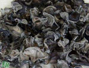 干木耳泡多久可以吃？干木耳泡了兩天還能吃嗎？