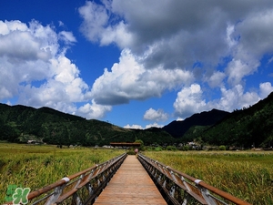 春節(jié)去云南穿什么？云南春節(jié)過年穿什么衣服？