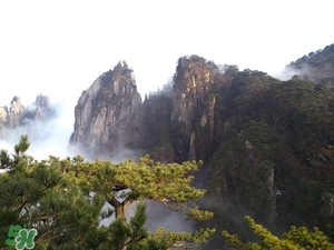 春節(jié)去廈門穿什么衣服？過年春節(jié)廈門穿什么？