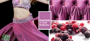 2017年什么顏色最流行 2017十大流行色 2017年什么顏色最流行 2017十大流行色