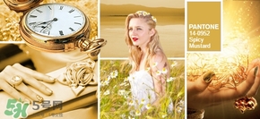 2017年什么顏色最流行 2017十大流行色 2017年什么顏色最流行 2017十大流行色