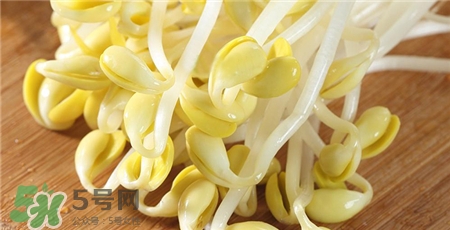 黃豆芽發(fā)黑了還能吃嗎?黃豆芽發(fā)黑了怎么辦? 黃豆芽發(fā)黑了還能吃嗎?黃豆芽發(fā)黑了怎么辦?