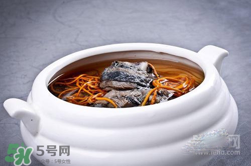 蟲草花怎么吃？蟲草花的吃法用量