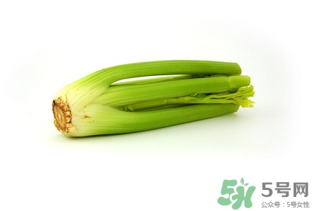 芹菜的藥用價(jià)值有哪些?芹菜能治什么病 芹菜的藥用價(jià)值有哪些?芹菜能治什么病