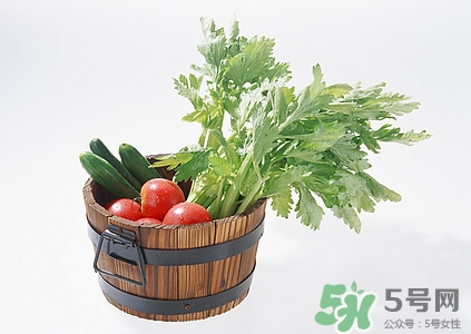 芹菜的藥用價(jià)值有哪些?芹菜能治什么病 芹菜的藥用價(jià)值有哪些?芹菜能治什么病