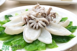 墨魚怎么泡發(fā)?怎么快速泡發(fā)墨魚 墨魚怎么泡發(fā)?怎么快速泡發(fā)墨魚