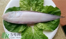 龍利魚(yú)怎么解凍?龍利魚(yú)可以用熱水解凍嗎? 龍利魚(yú)怎么解凍?龍利魚(yú)可以用熱水解凍嗎?