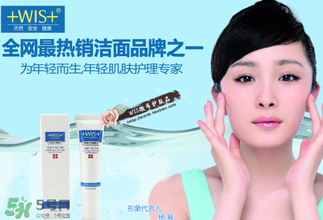 wis是哪個國家的品牌？wis是什么牌子？