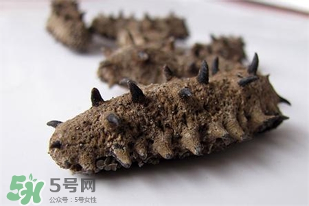 干海參用熱水泡發(fā)嗎?干海參用自來(lái)水泡行嗎? 干海參用熱水泡發(fā)嗎?干海參用自來(lái)水泡行嗎?