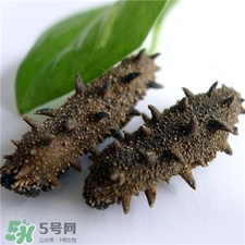 干海參用熱水泡發(fā)嗎?干海參用自來(lái)水泡行嗎? 干海參用熱水泡發(fā)嗎?干海參用自來(lái)水泡行嗎?