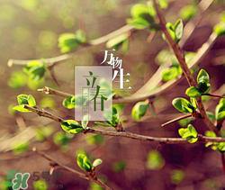 立春可以出門嗎？立春為什么不能出門？