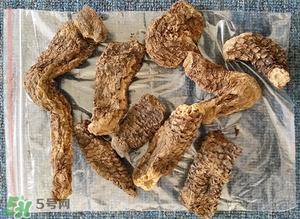 野生肉蓯蓉多少錢一斤？肉蓯蓉價格一斤多少錢？