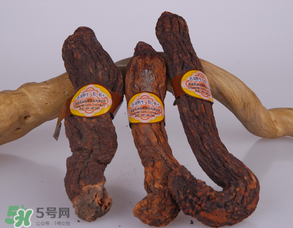 鎖陽和肉蓯蓉一起泡酒可以嗎？肉蓯蓉和鎖陽的區(qū)別