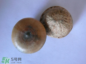 風(fēng)流果多少錢一斤？風(fēng)流果的價格