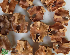 核桃分心木多少錢一斤？核桃分心木價格