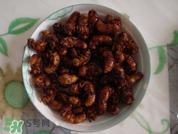 知了能吃嗎它有什么營(yíng)養(yǎng)和價(jià)值?知了怎么做好吃