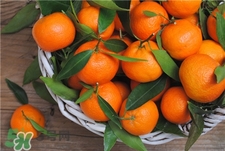 橘子葉有什么作用?橘子葉的功效與作用 橘子葉有什么作用?橘子葉的功效與作用