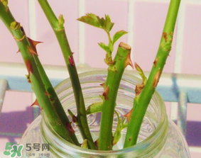 立春可以理發(fā)嗎？立春可以洗頭嗎？