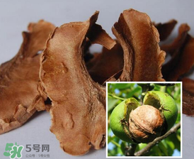 核桃分心木能長期喝嗎？核桃分心木一天喝幾次？