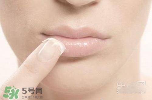 嘴唇干裂涂蜂蜜有用嗎？怎樣用蜂蜜改善嘴唇干裂？