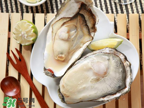 生蠔一次吃幾個最好？生蠔一天吃幾個好？