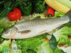 吃草魚可以暖胃嗎?草魚怎么吃最暖胃? 吃草魚可以暖胃嗎?草魚怎么吃最暖胃?