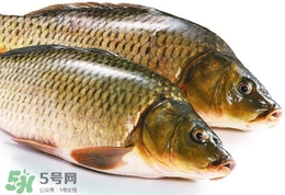 吃鯽魚(yú)可以暖胃嗎?鯽魚(yú)怎么吃最暖胃? 吃鯽魚(yú)可以暖胃嗎?鯽魚(yú)怎么吃最暖胃?