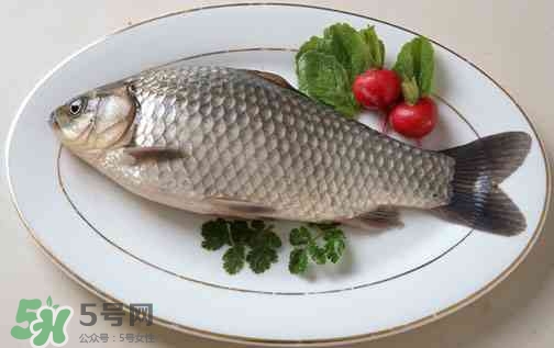 吃鯽魚(yú)可以暖胃嗎?鯽魚(yú)怎么吃最暖胃? 吃鯽魚(yú)可以暖胃嗎?鯽魚(yú)怎么吃最暖胃?