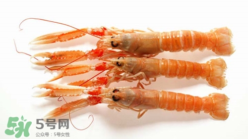 螯蝦是不是小龍蝦?螯蝦的營養(yǎng)價值 螯蝦是不是小龍蝦?螯蝦的營養(yǎng)價值