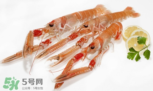 螯蝦是不是小龍蝦?螯蝦的營養(yǎng)價值 螯蝦是不是小龍蝦?螯蝦的營養(yǎng)價值