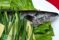 吃黑魚(yú)可以下奶嗎?吃黑魚(yú)能下奶嗎? 吃黑魚(yú)可以下奶嗎?吃黑魚(yú)能下奶嗎?